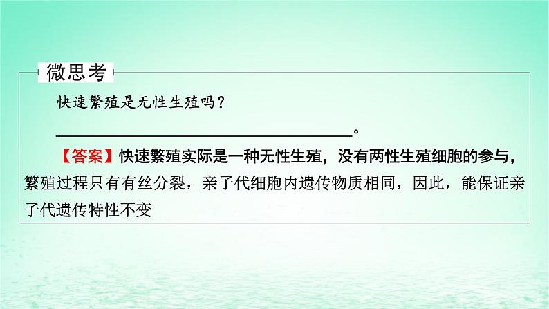 2024春高中生物第2章细胞工程第1节植物细胞工程二植物细胞工程的应用课件(人教版选择性必修3)第7页