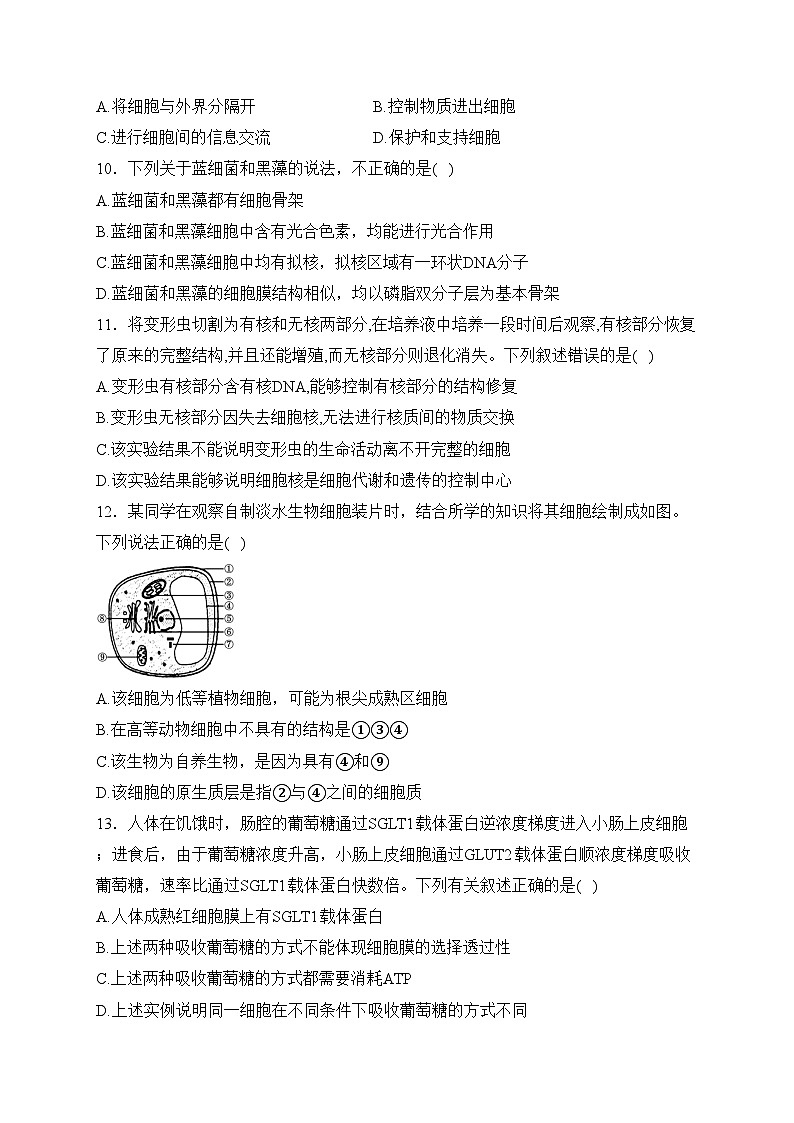 广东省阳江市2023-2024学年高一上学期期末生物试卷(含答案)第3页