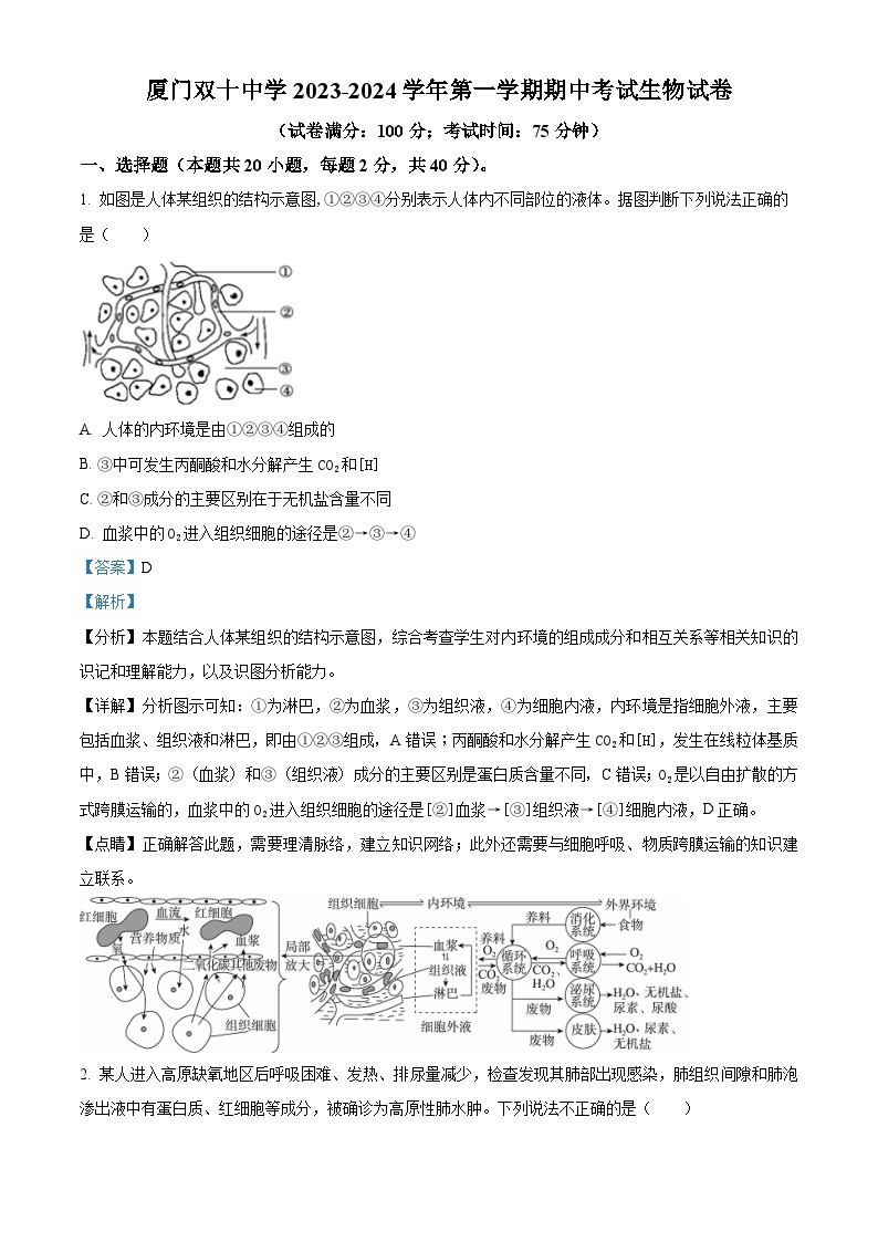 福建省厦门市双十中学2023-2024学年高二上学期期中生物试题（Word版附解析）01