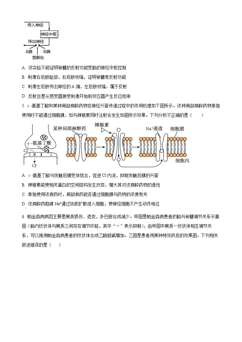 福建省厦门市双十中学2023-2024学年高二上学期期中生物试题（Word版附解析）02