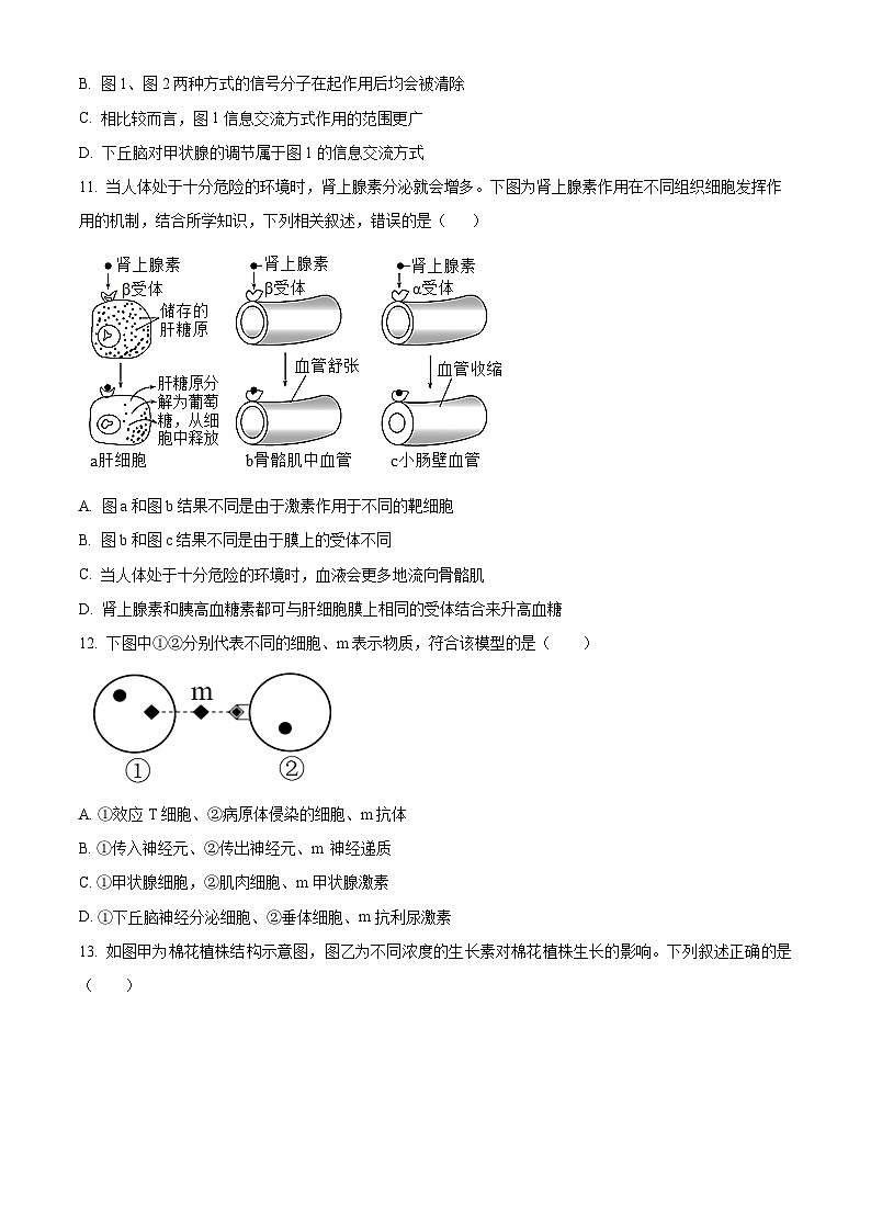 浙江省台州市书生中学2023-2024学年高二下学期开学考试生物试卷(Word版附解析)03