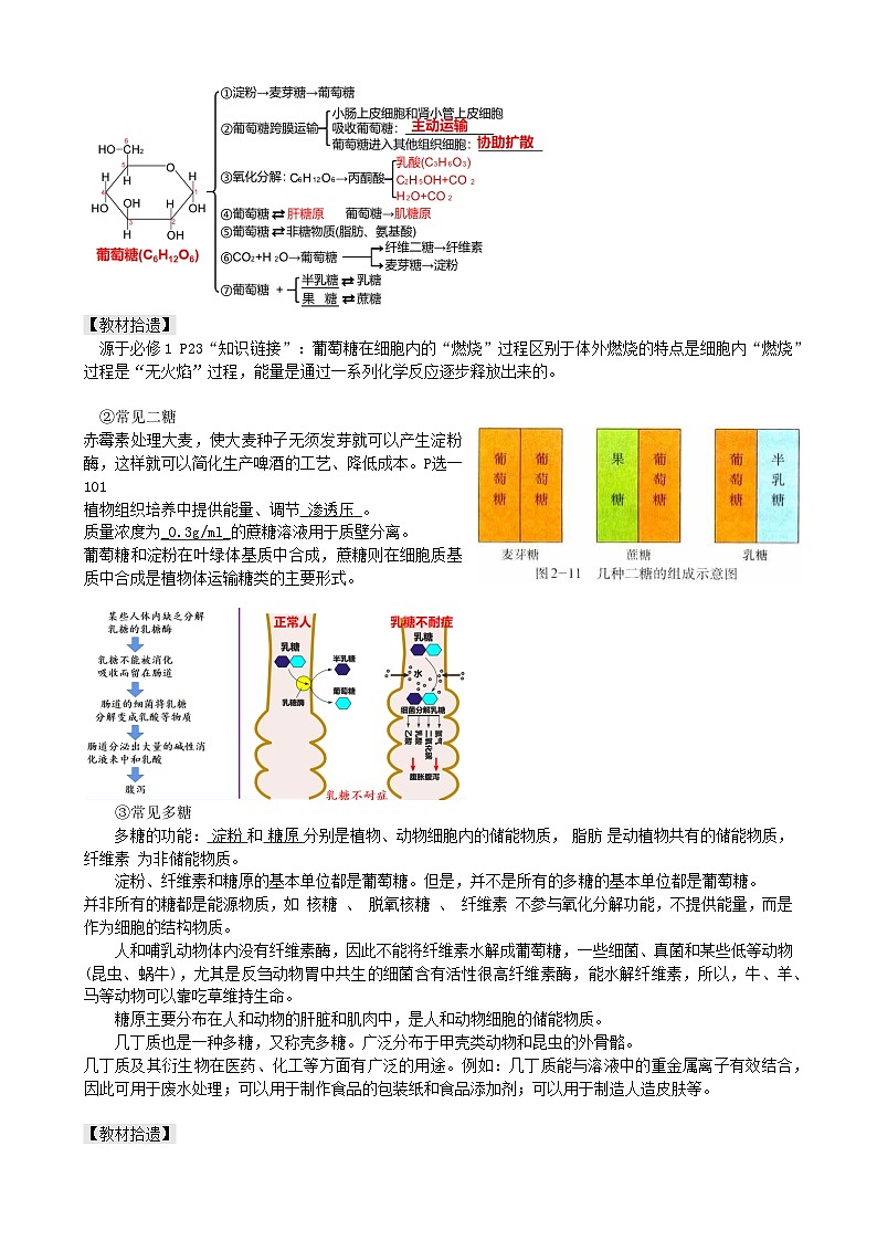 最新高考生物一轮复习【讲通练透】 第03讲 糖类和脂质(讲通)03
