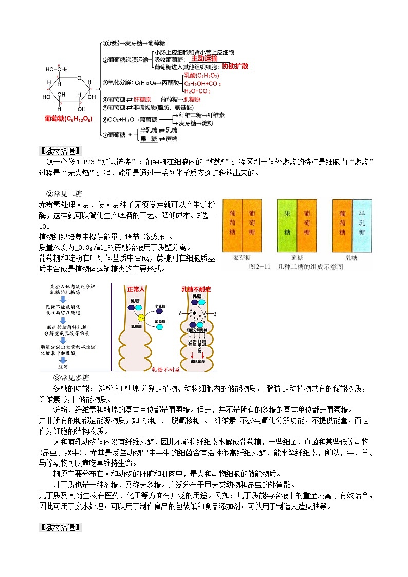 最新高考生物一轮复习【讲通练透】 第03讲 糖类和脂质(讲通)03