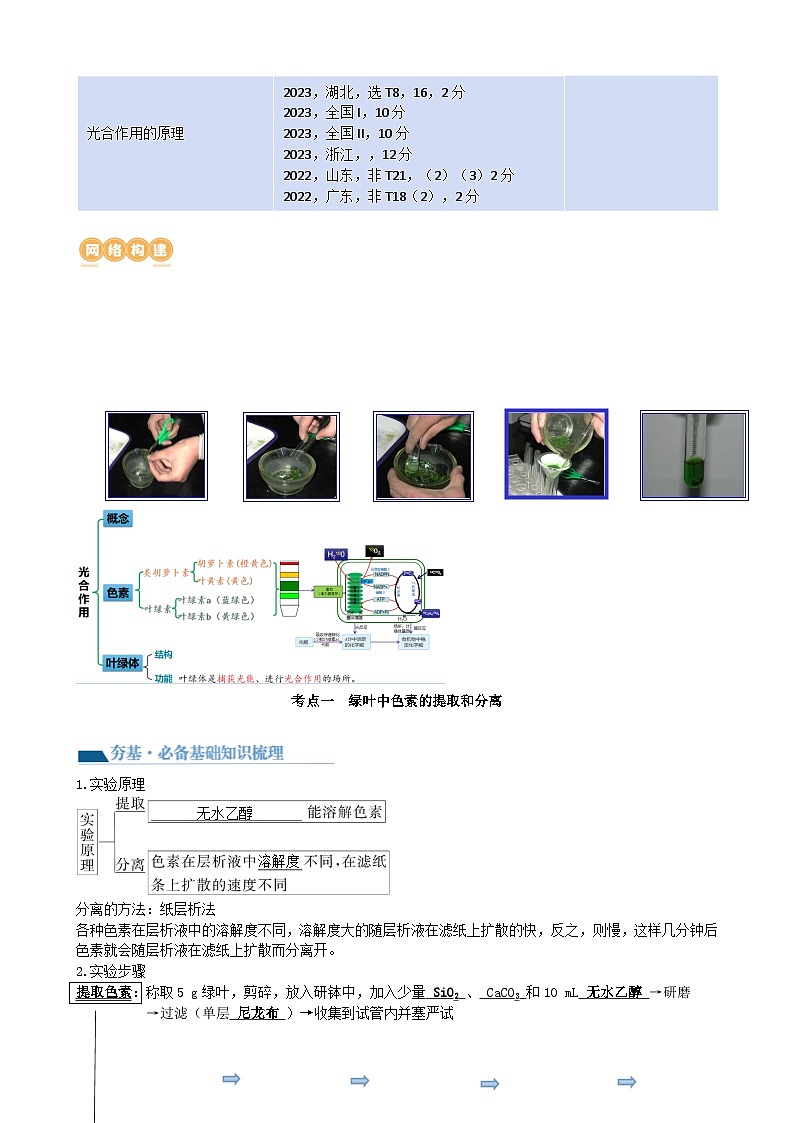 最新高考生物一轮复习【讲通练透】 第10.1讲 光合色素和光合作用原理(讲义)02