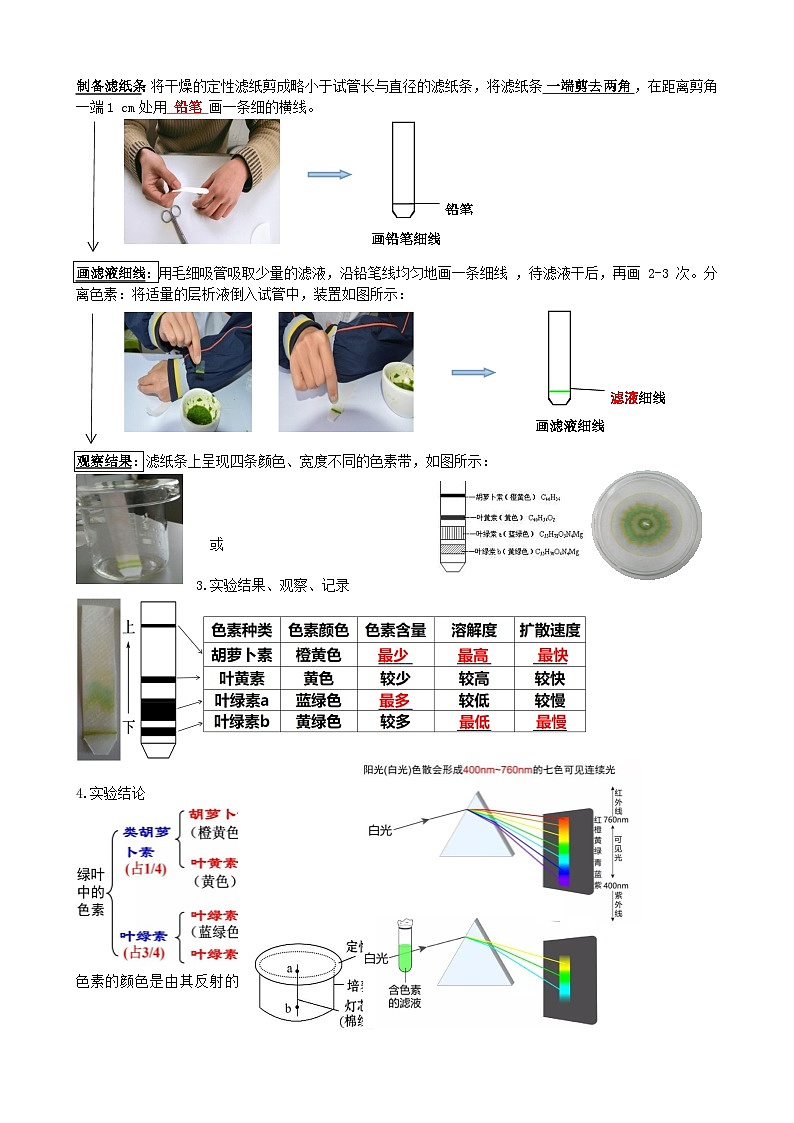 最新高考生物一轮复习【讲通练透】 第10.1讲 光合色素和光合作用原理(讲义)03