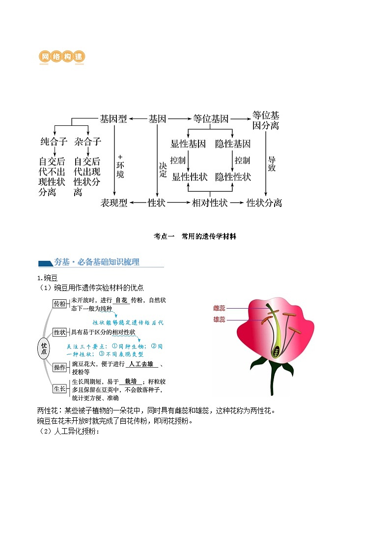 最新高考生物一轮复习【讲通练透】 第15讲 遗传的基础知识(讲通)02