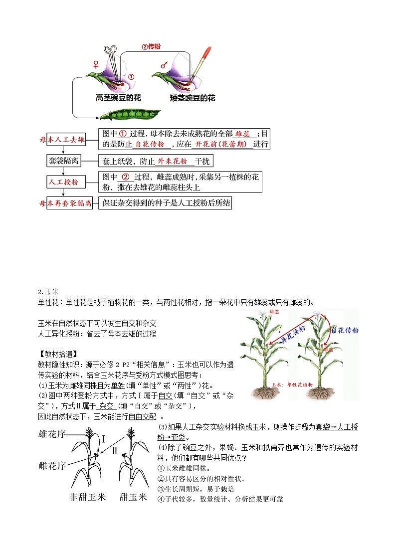 最新高考生物一轮复习【讲通练透】 第15讲 遗传的基础知识(讲通)03