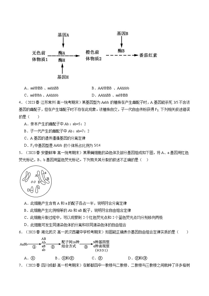 最新高考生物一轮复习【讲通练透】 第17.2讲 基因的自由组合定律相关题型(练习)02