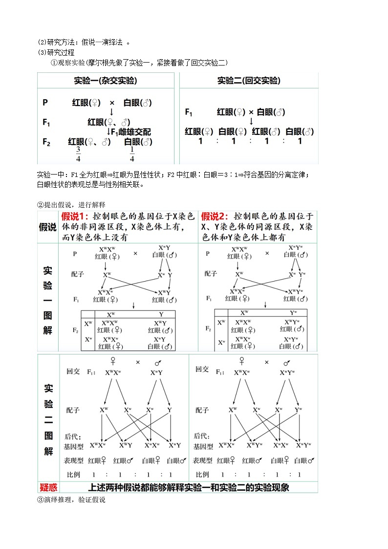 最新高考生物一轮复习【讲通练透】 第18讲 伴性遗传和人类遗传病(讲通)03