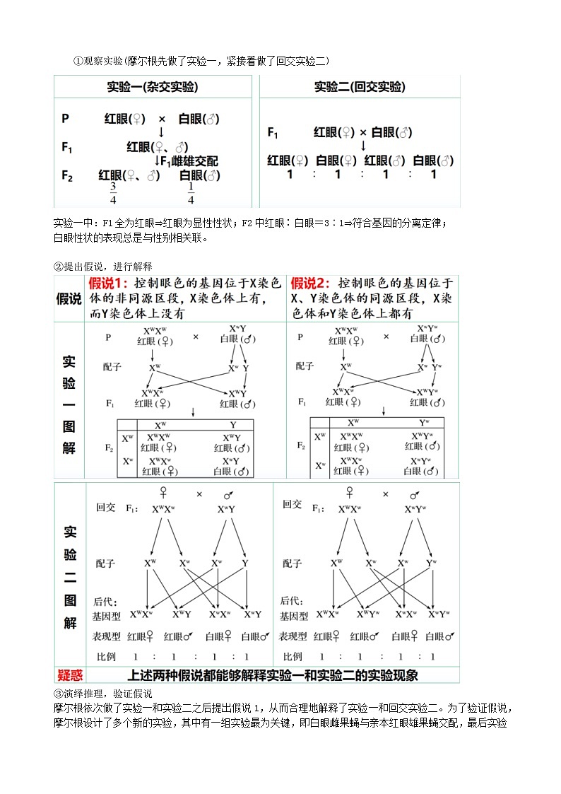 最新高考生物一轮复习【讲通练透】 第18讲 伴性遗传和人类遗传病(讲通)03