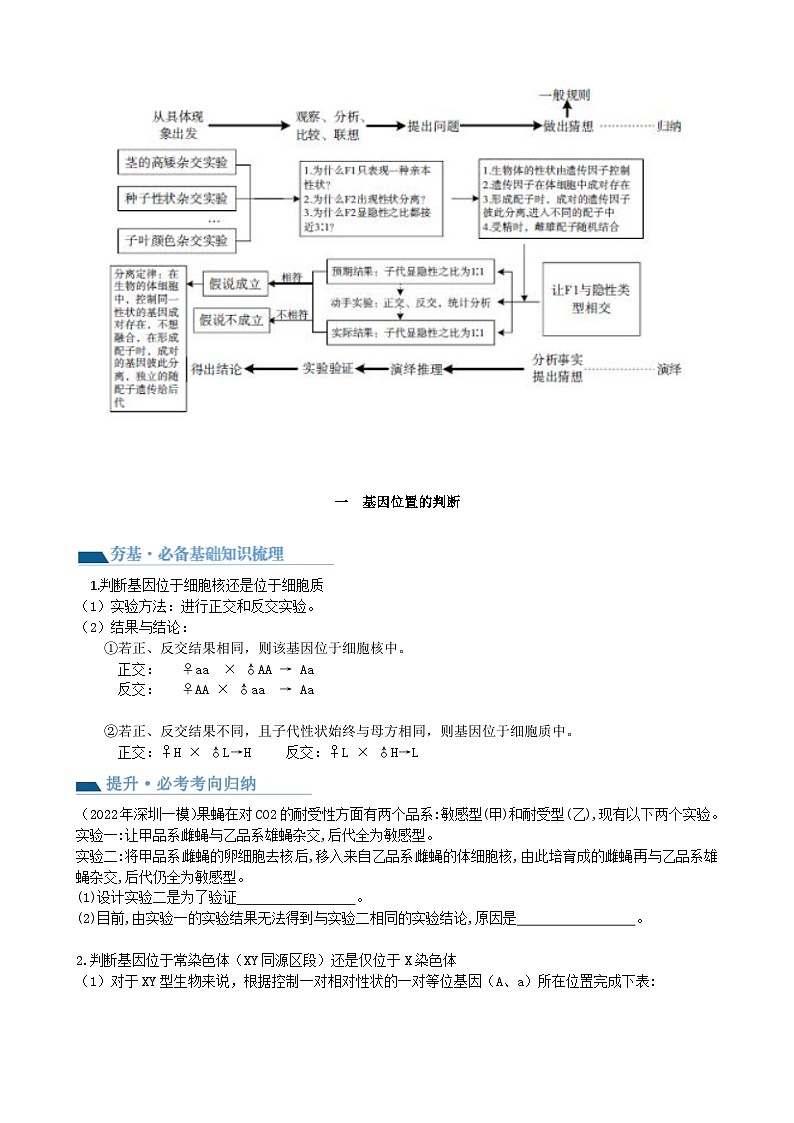 最新高考生物一轮复习【讲通练透】 第19讲 遗传综合实验分析(讲通)02