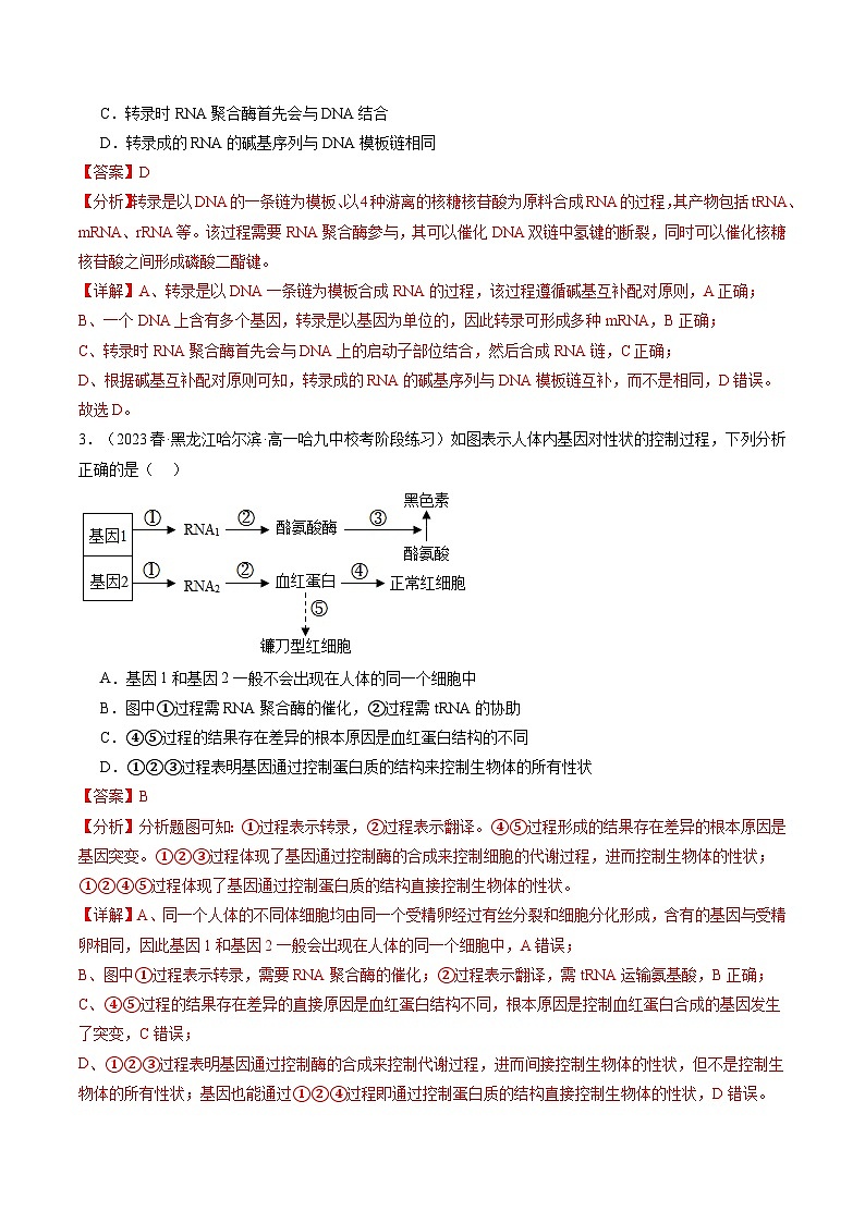 第22讲 基因的表达、基因与性状的关系(练习)(解析版)第2页