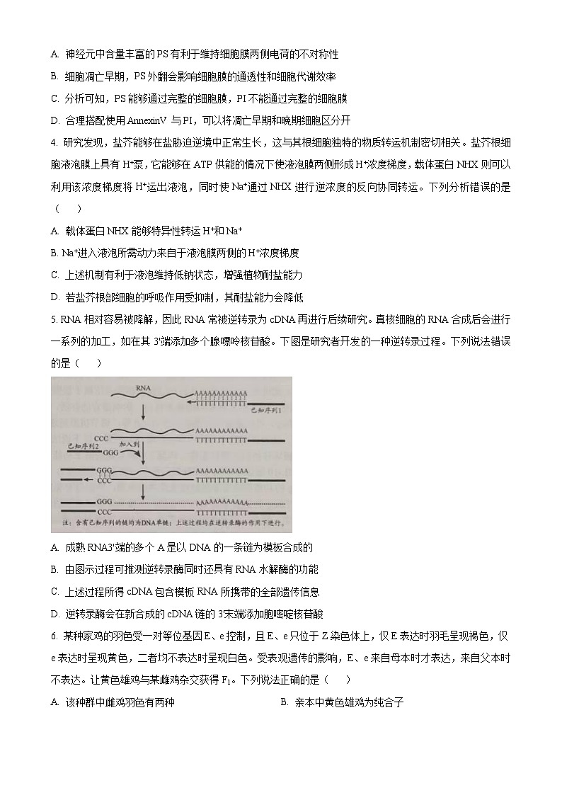 2024日照高三下学期2月校际联合考试(一模)生物含解析02