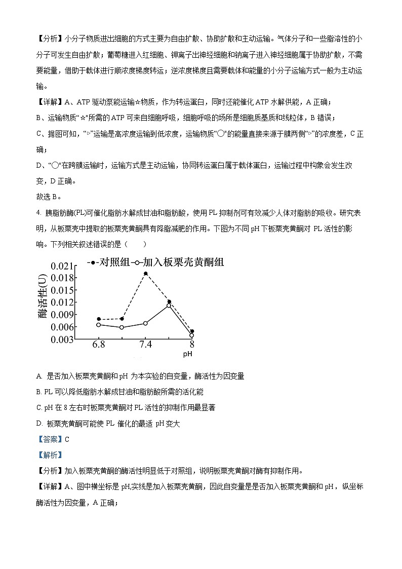 2024湖北省部分学校高三下学期2月开学考试生物试卷含解析03