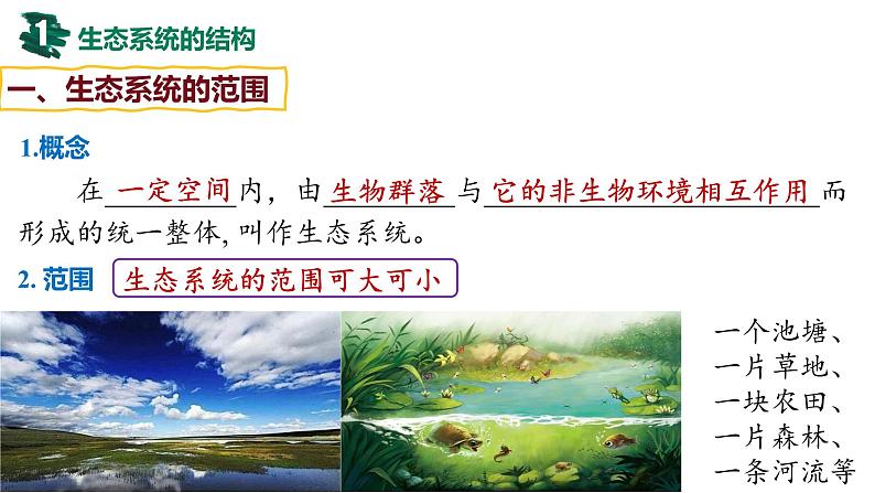 备战高考生物一轮复习优质课件 第29讲 生态系统的结构与能量流动第4页
