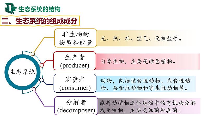 备战高考生物一轮复习优质课件 第29讲 生态系统的结构与能量流动第7页