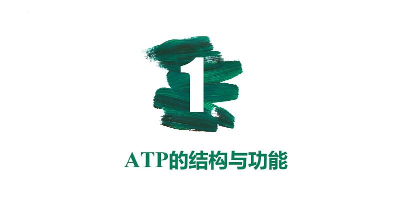 备战高考生物一轮复习优质课件 第07讲 ATP和酶03