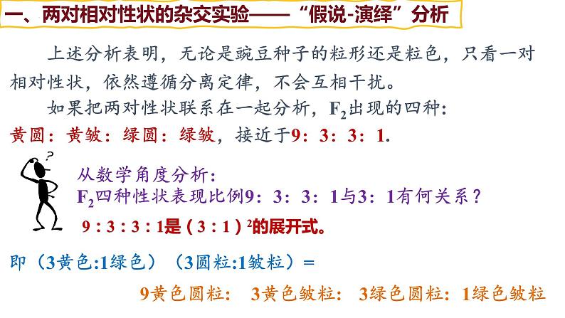备战高考生物一轮复习优质课件 第14讲 基因的自由组合定律06