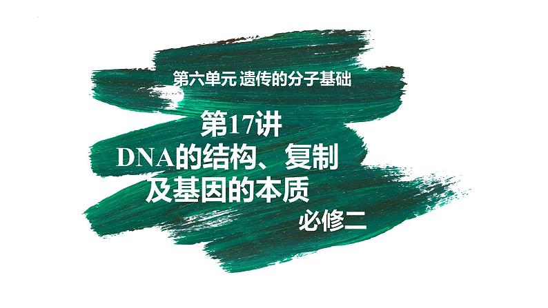 备战高考生物一轮复习优质课件 第17讲 DNA的结构、复制及基因的本质01