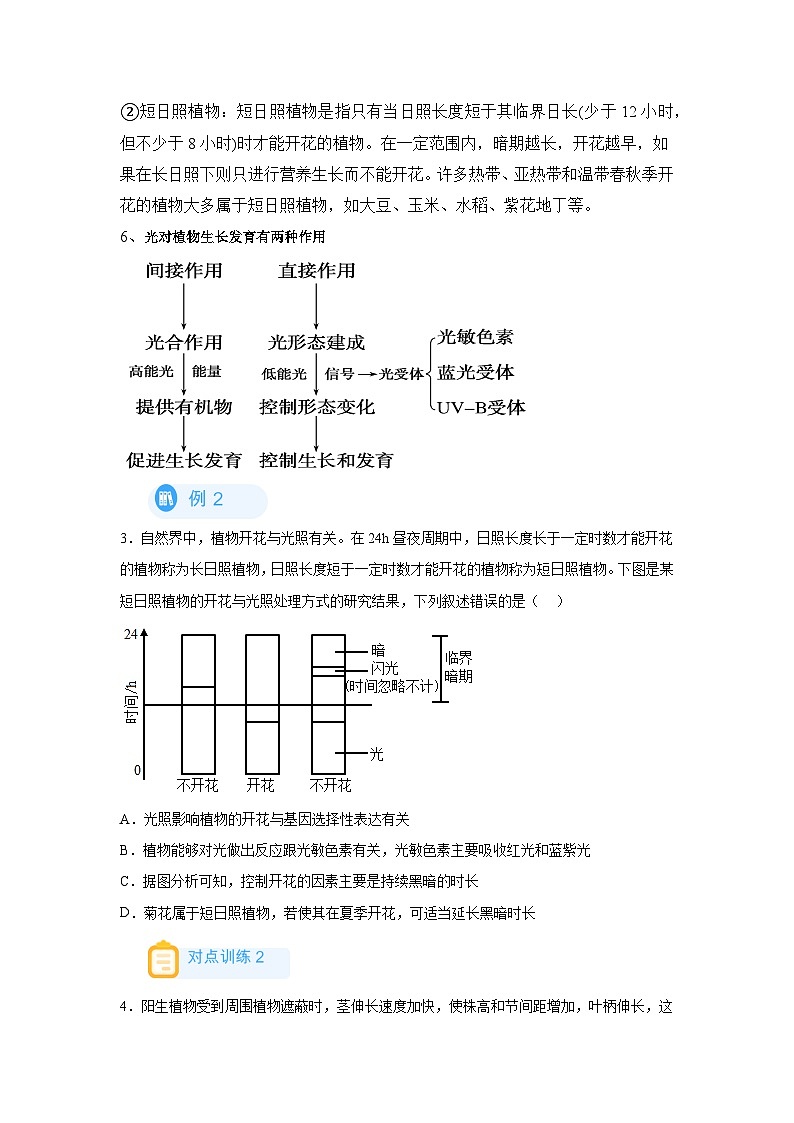 高考生物第一轮复习知识点挖空专项练习 回归课本之新教材的查缺补漏-09植物对于光、重力等的感知(原卷版+答案解析)第3页