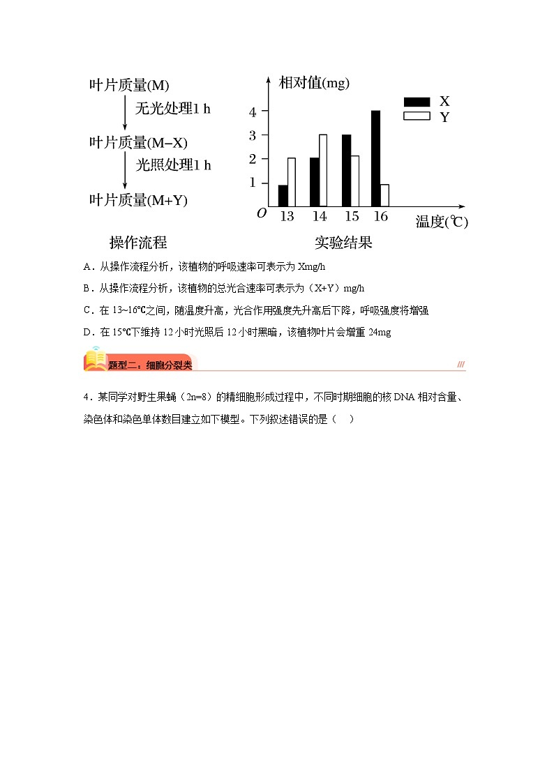 高考生物第一轮复习知识点挖空专项练习 专题4遗传题(原卷版+答案解析)02