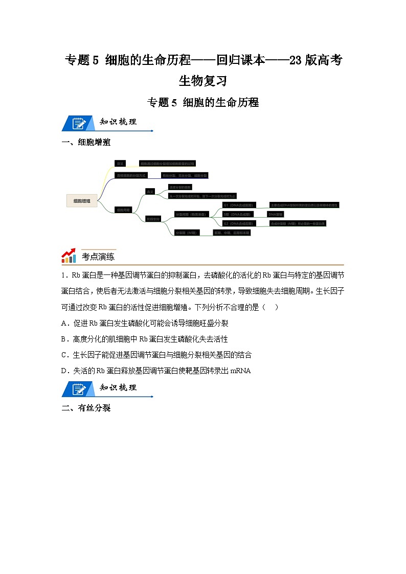 高考生物第一轮复习知识点挖空专项练习 专题5细胞的生命历程-回归课本-23版高考生物复习(原卷版+答案解析)第1页
