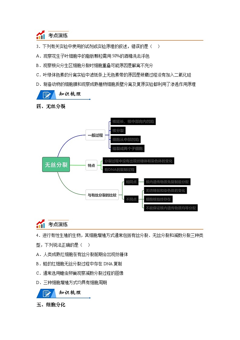 高考生物第一轮复习知识点挖空专项练习 专题5细胞的生命历程-回归课本-23版高考生物复习(原卷版+答案解析)第3页