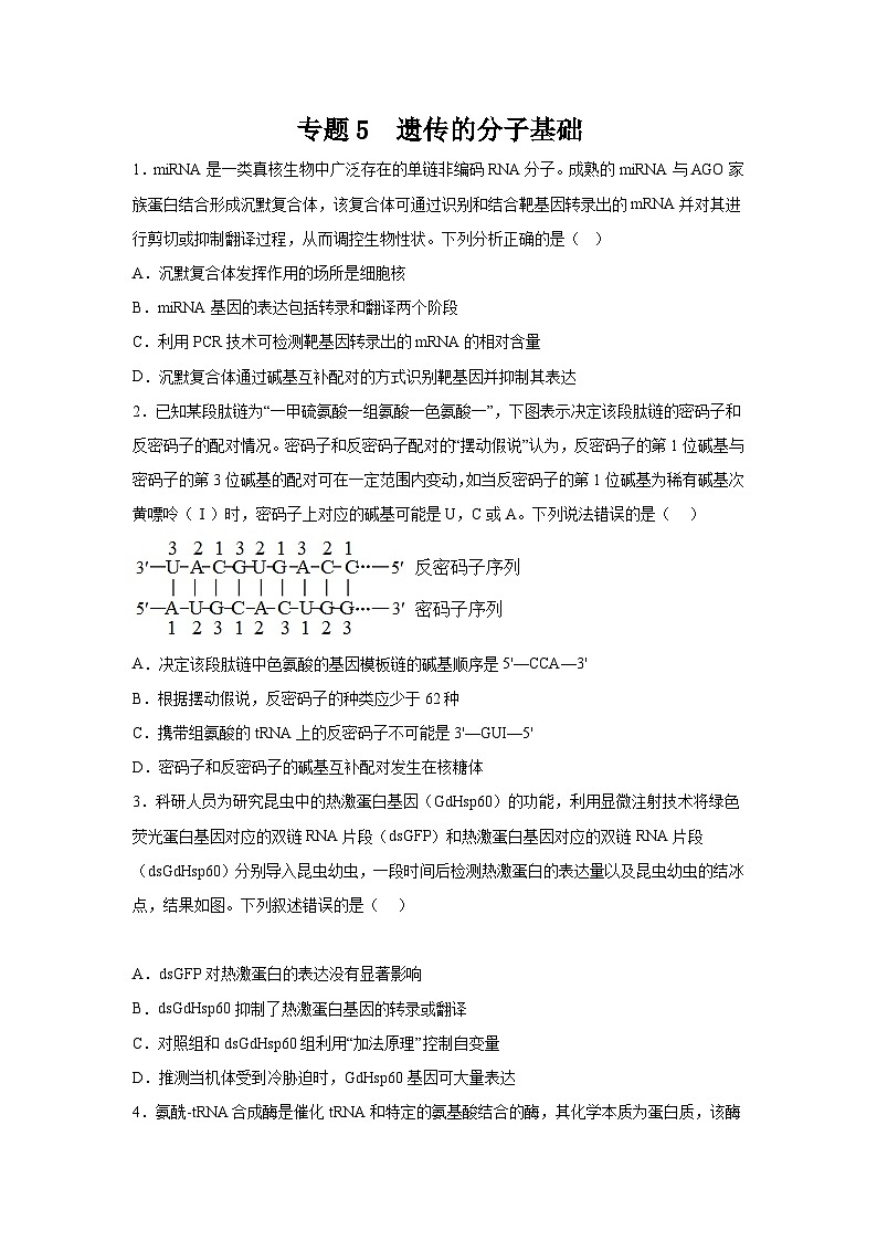 高考生物第一轮复习知识点挖空专项练习 专题5遗传的分子基础(原卷版+答案解析)01