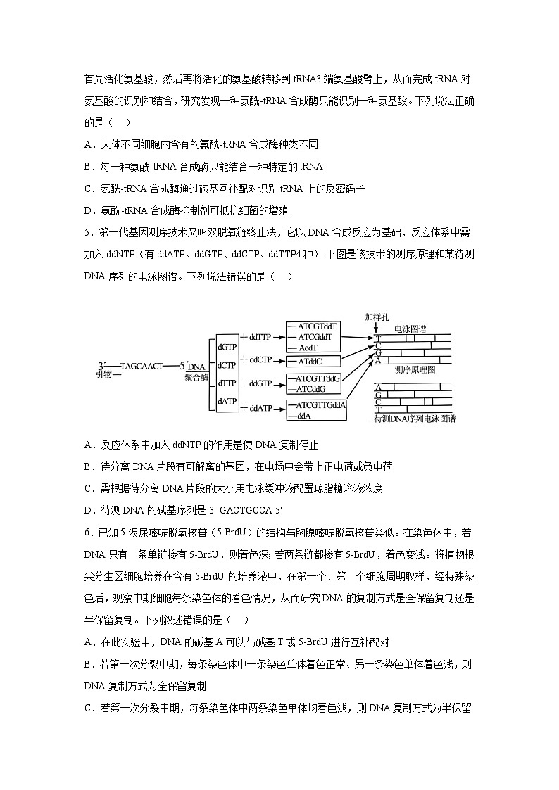 高考生物第一轮复习知识点挖空专项练习 专题5遗传的分子基础(原卷版+答案解析)02