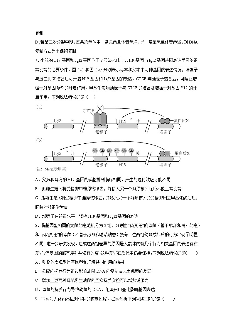 高考生物第一轮复习知识点挖空专项练习 专题5遗传的分子基础(原卷版+答案解析)03