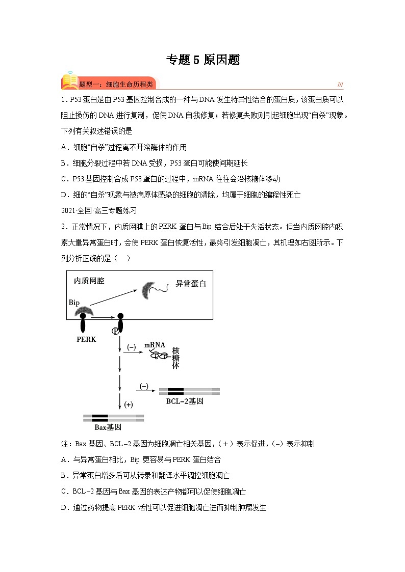 高考生物第一轮复习知识点挖空专项练习 专题5原因题(原卷版+答案解析)第1页