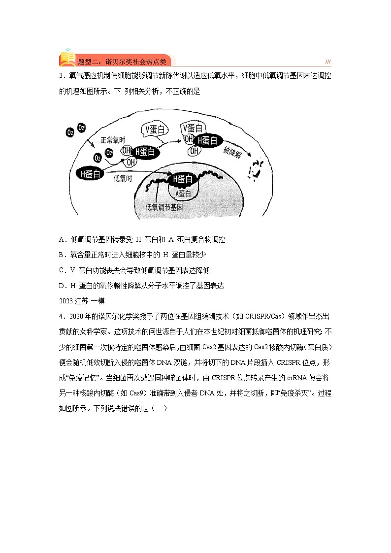 高考生物第一轮复习知识点挖空专项练习 专题5原因题(原卷版+答案解析)第2页