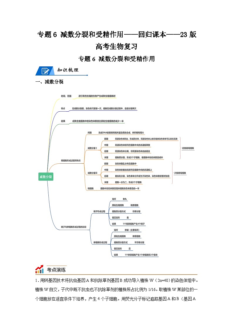 高考生物第一轮复习知识点挖空专项练习 专题6减数分裂和受精作用-回归课本-23版高考生物复习(原卷版+答案解析)01