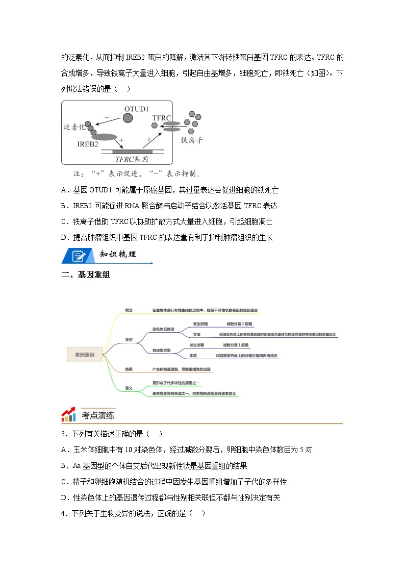 高考生物第一轮复习知识点挖空专项练习 专题10生物的变异与进化-回归课本-23版高考生物复习（原卷版+答案解析）02