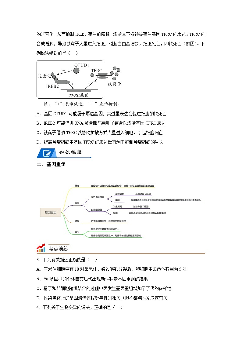 高考生物第一轮复习知识点挖空专项练习 专题10生物的变异与进化-回归课本-23版高考生物复习(原卷版+答案解析)第2页