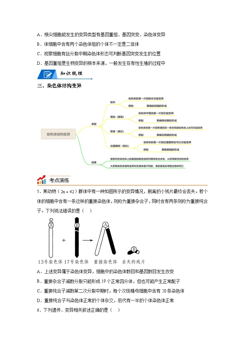 高考生物第一轮复习知识点挖空专项练习 专题10生物的变异与进化-回归课本-23版高考生物复习（原卷版+答案解析）03