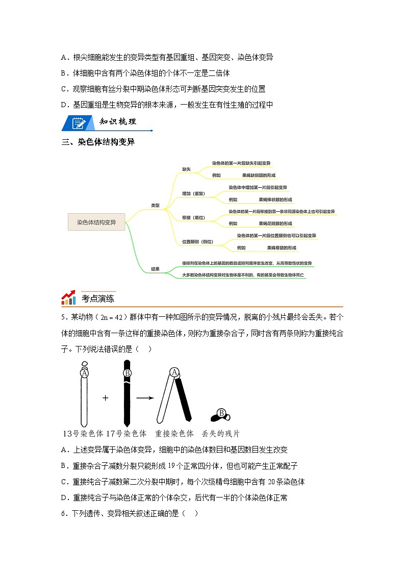 高考生物第一轮复习知识点挖空专项练习 专题10生物的变异与进化-回归课本-23版高考生物复习(原卷版+答案解析)第3页