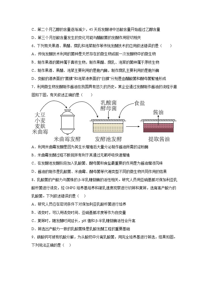 高考生物第一轮复习知识点挖空专项练习 专题10生物技术实践(原卷版+答案解析)第3页