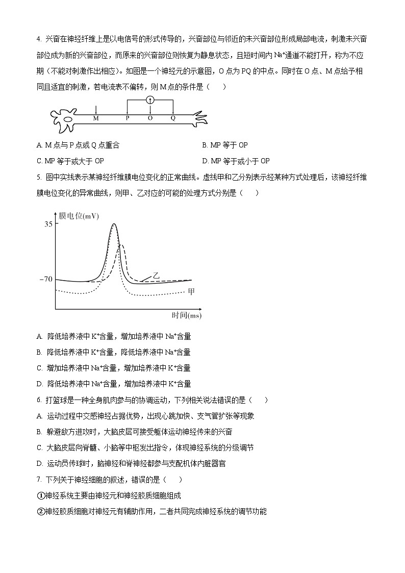 精品解析:山东省临沂市沂南一中2022-2023学年高二上学期期中生物试题(原卷版+答案解析)第2页
