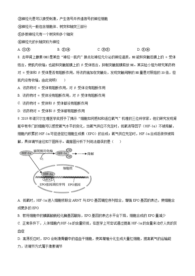 精品解析:山东省临沂市沂南一中2022-2023学年高二上学期期中生物试题(原卷版+答案解析)第3页