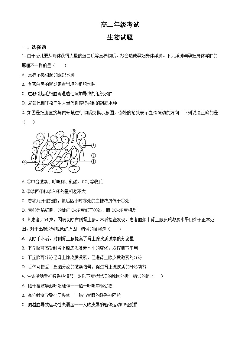精品解析:山东省泰安市2022-2023学年高二上学期期中生物试题(原卷版+答案解析)第1页