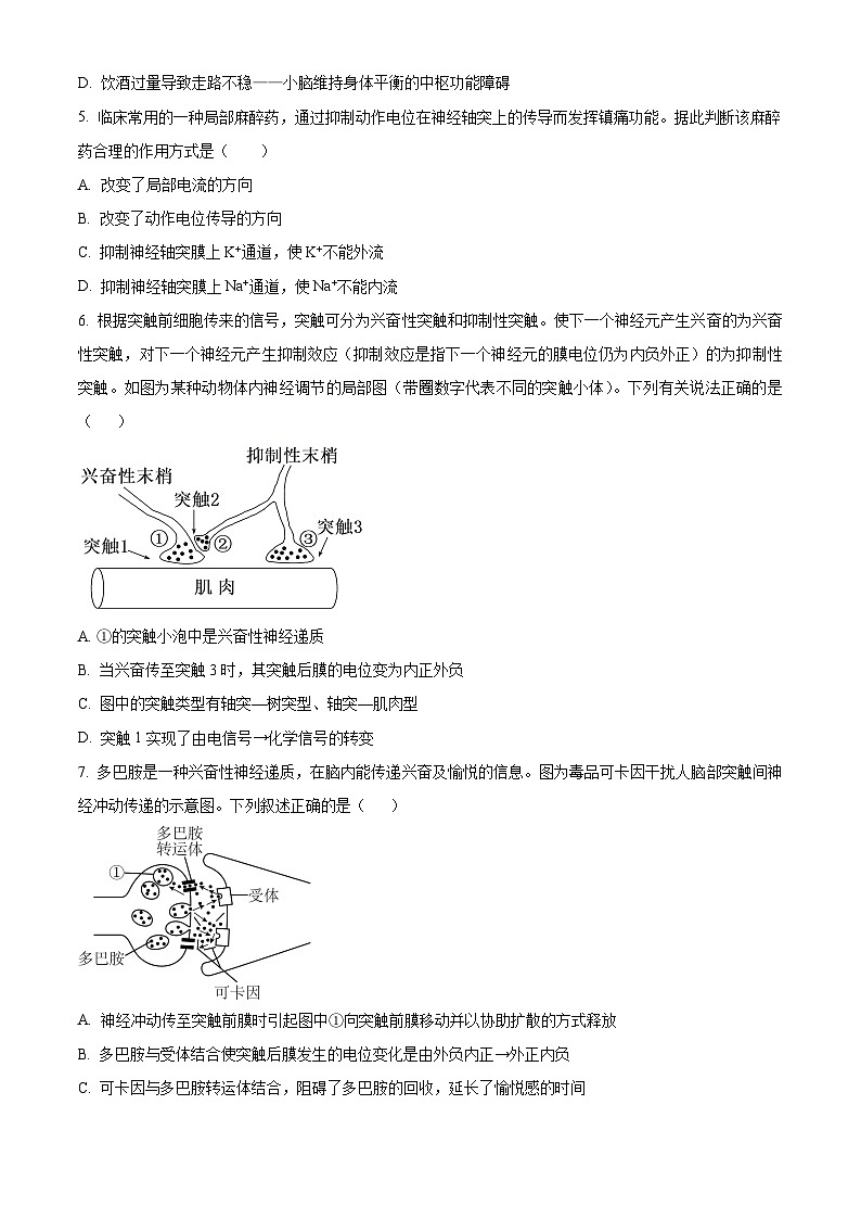 精品解析:山东省泰安市2022-2023学年高二上学期期中生物试题(原卷版+答案解析)第2页