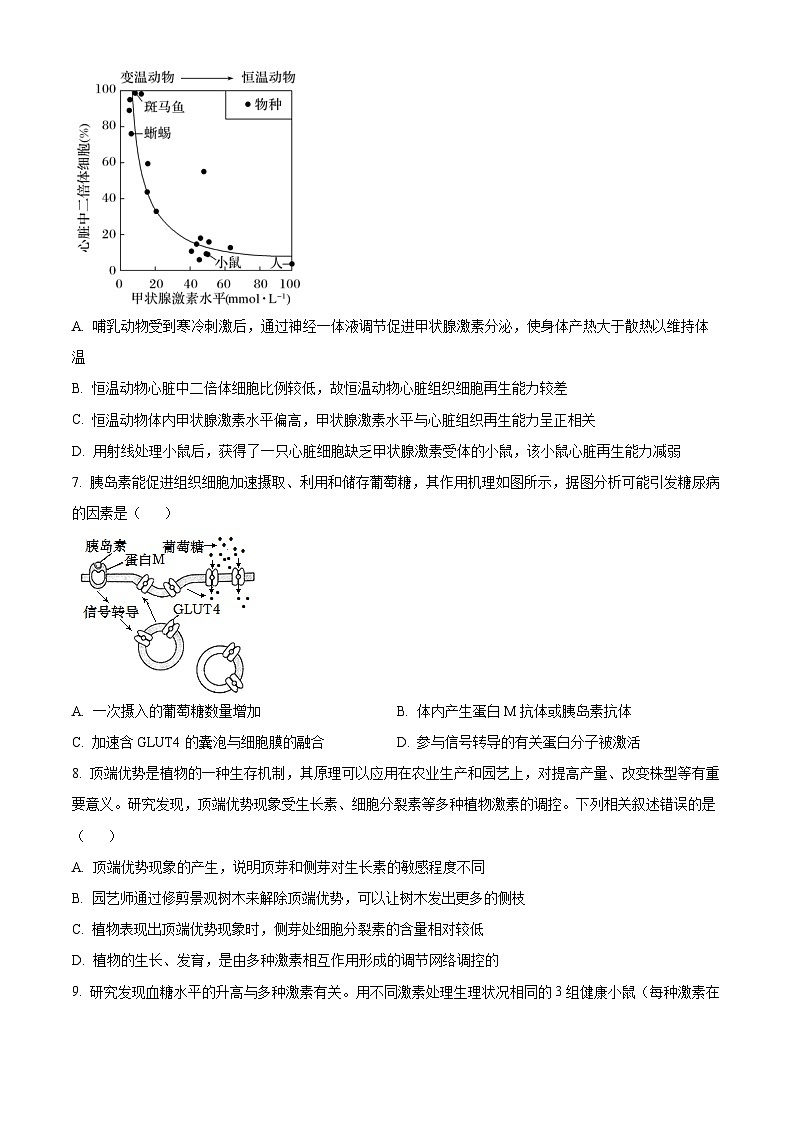 精品解析:山东省泰安市新泰市一中2022-2023学年高二上学期期中生物试题(原卷版+答案解析)03