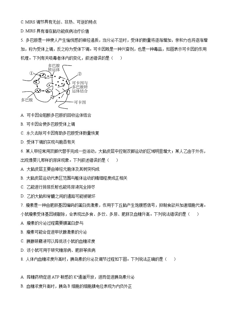 精品解析:山东省潍坊安丘市2022-2023学年高二上学期期中生物试题(原卷版+答案解析)02