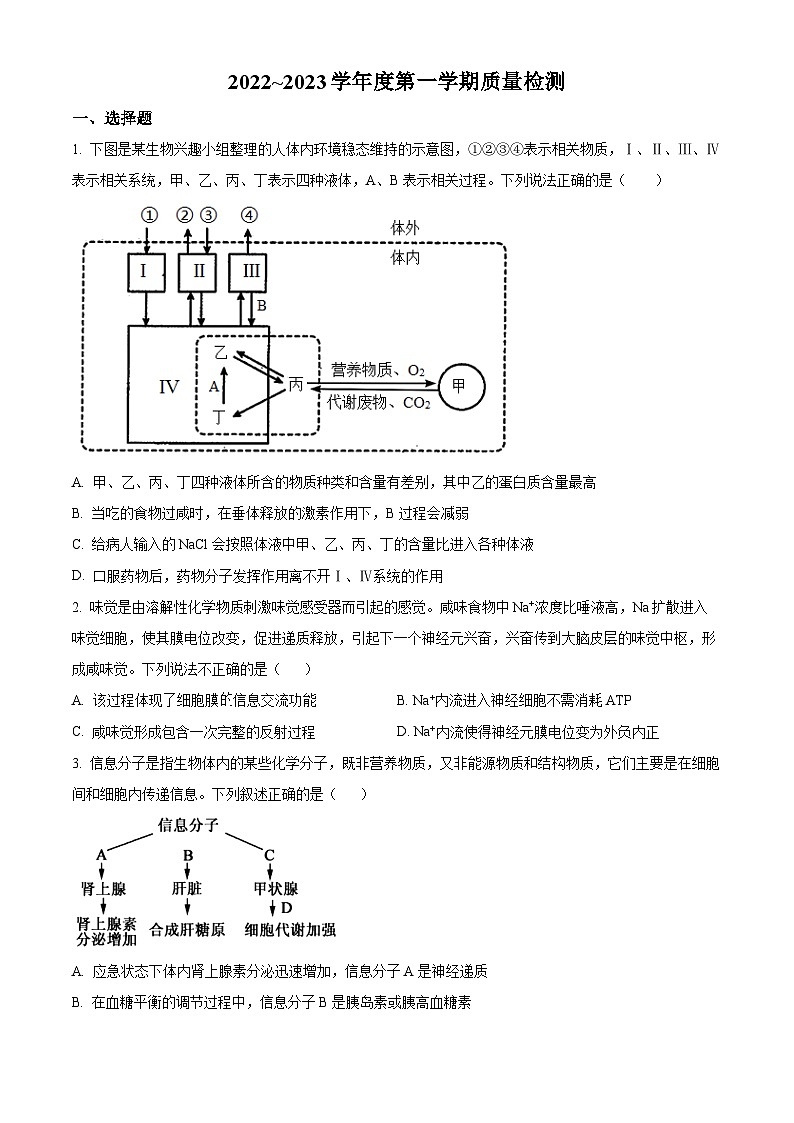 精品解析:山东省枣庄市滕州市2022-2023学年高二上学期期中生物试题(原卷版+答案解析)01