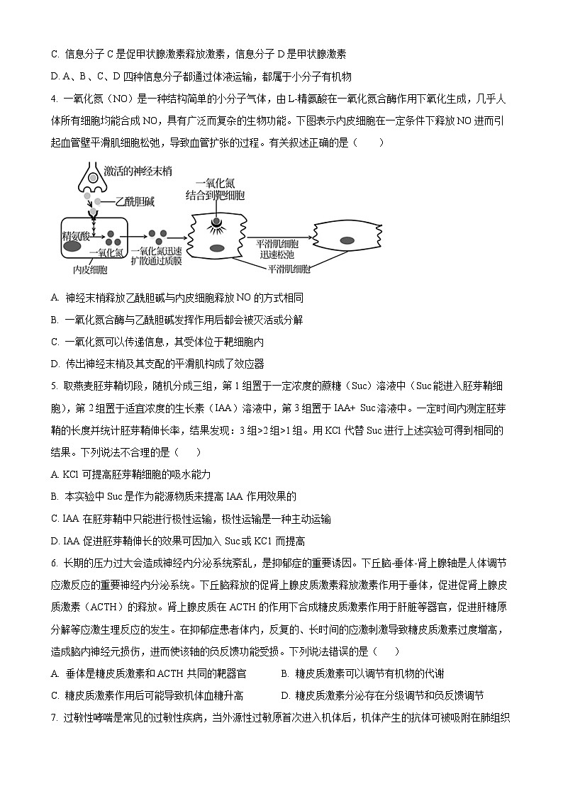 精品解析:山东省枣庄市滕州市2022-2023学年高二上学期期中生物试题(原卷版+答案解析)02