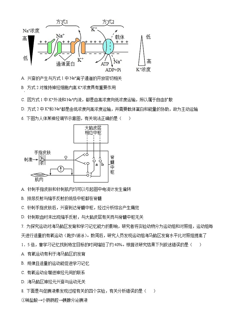 精品解析:山东省菏泽市2022-2023学年高二上学期期中生物试题(B)(原卷版+答案解析)第2页