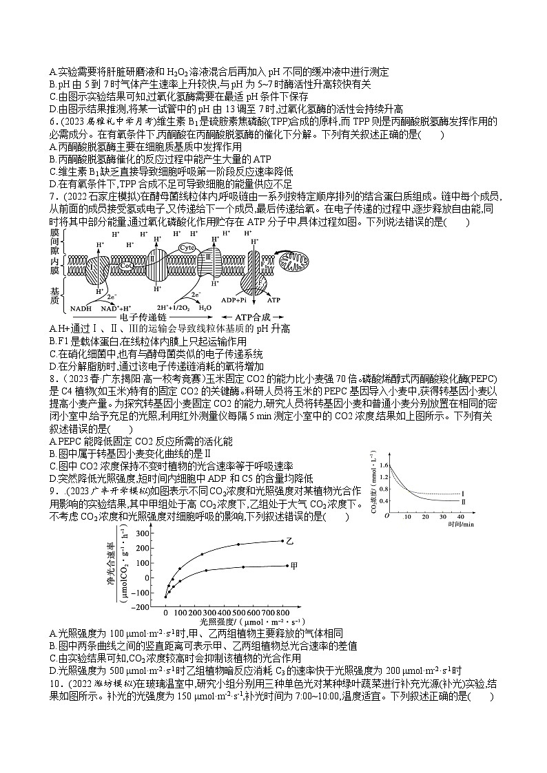 2024年高考生物一轮复习讲练测(新教材新高考)第11讲 细胞代谢综合分析(练习)(原卷版+答案解析)第2页
