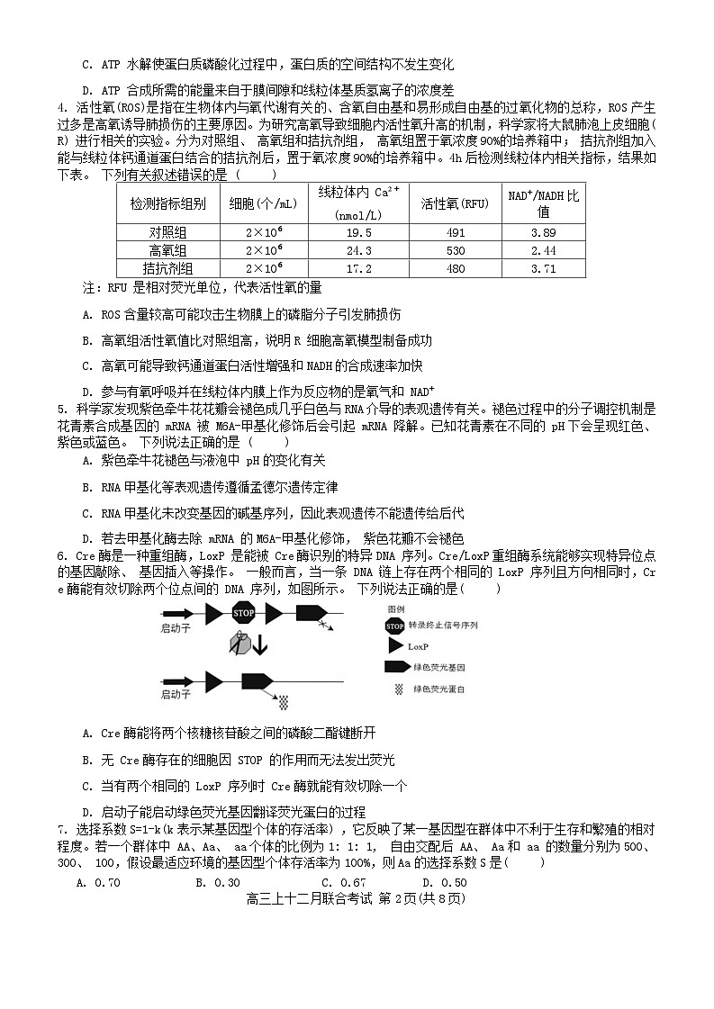 2024届重庆市拔尖强基联盟高三下学期2月联合考试生物试题(含答案)第2页