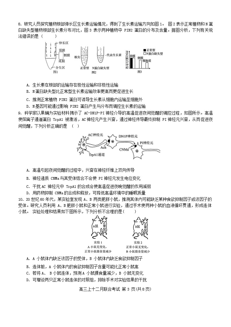 2024届重庆市拔尖强基联盟高三下学期2月联合考试生物试题(含答案)第3页